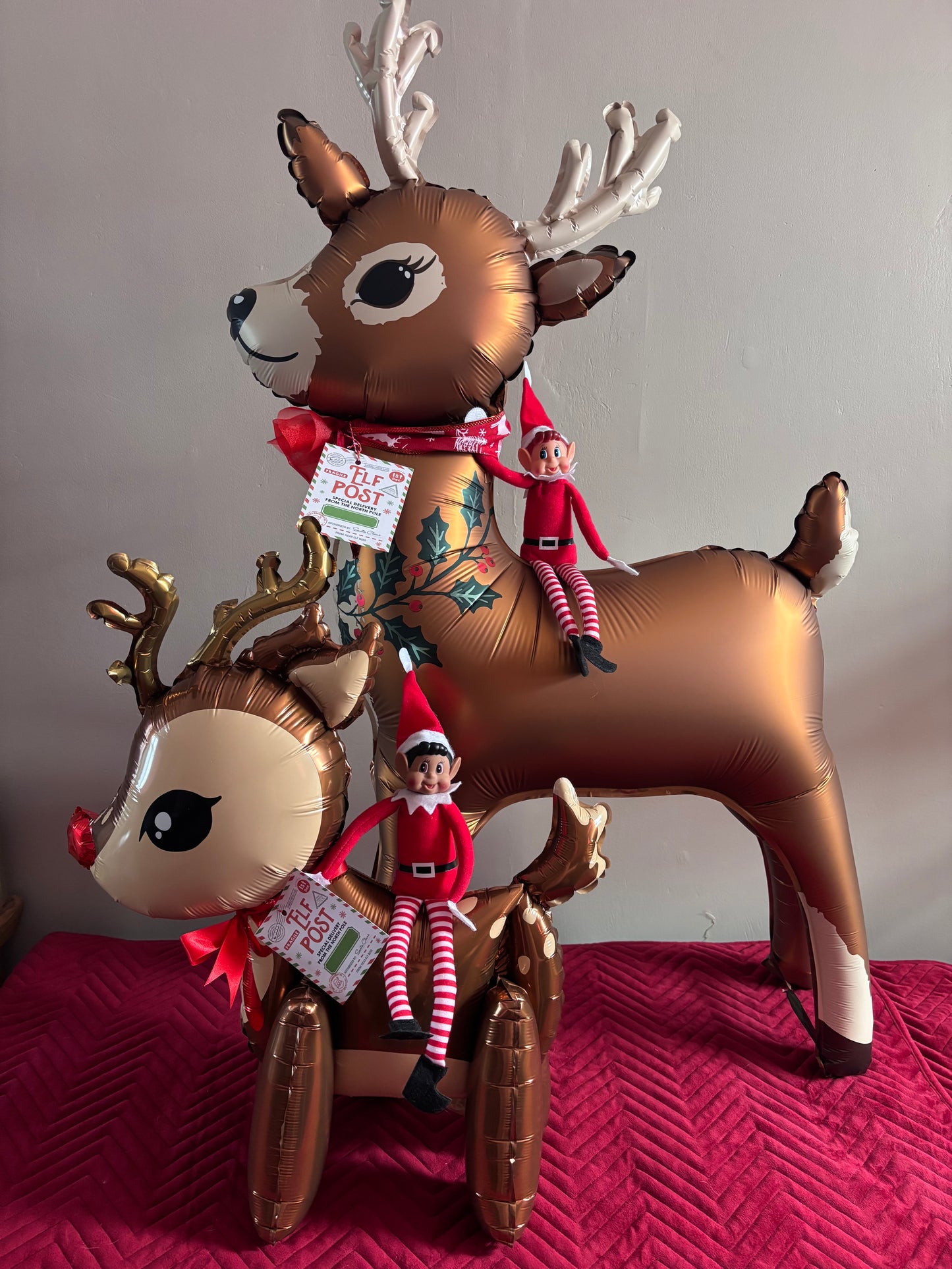 Arrival Mini Reindeer (Deposit)